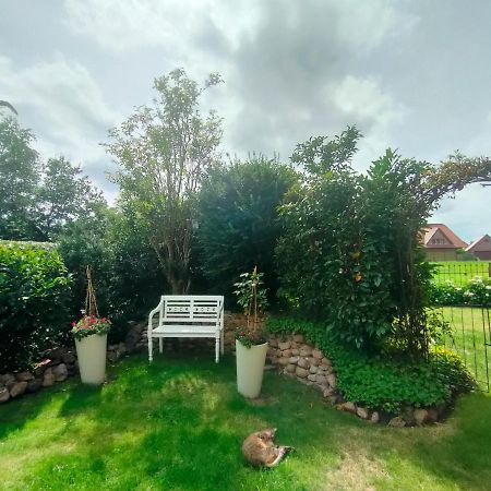 Luana'S White Cottage Surwold 外观 照片
