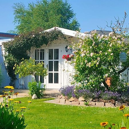 Luana'S White Cottage Surwold 外观 照片